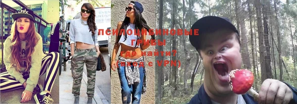 стафф Абдулино